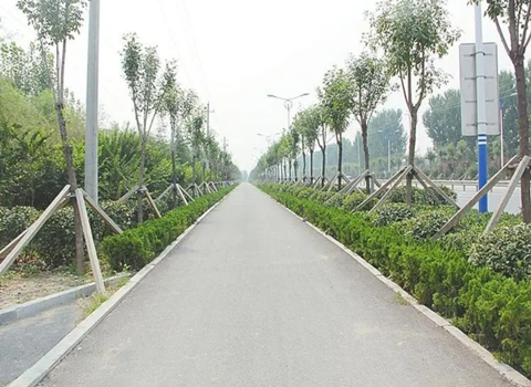 机场路拆违绿化设计