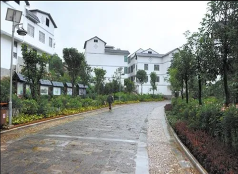 赞皇中央水库移民村道路设计